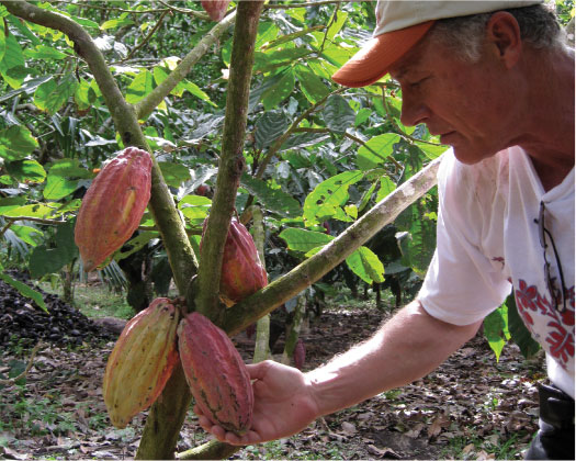 Heirloom Cacao Preservation Initiative